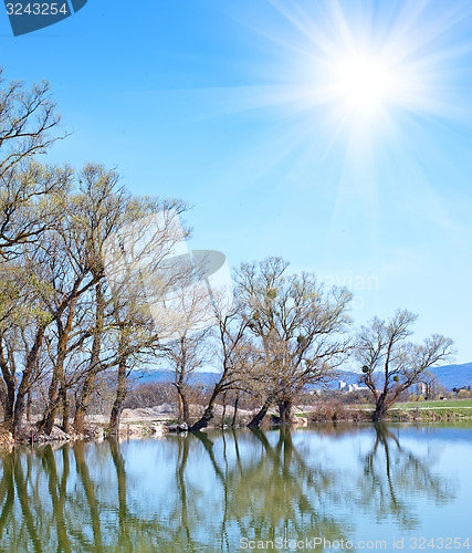 Image of nature