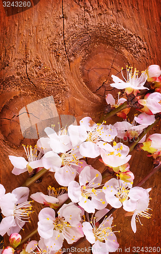 Image of background