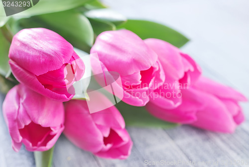 Image of tulips