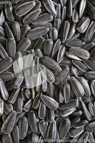 Image of sunflower seed