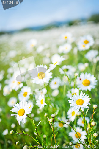 Image of nature background