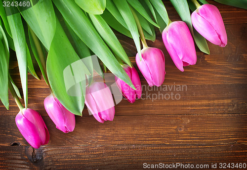 Image of tulips