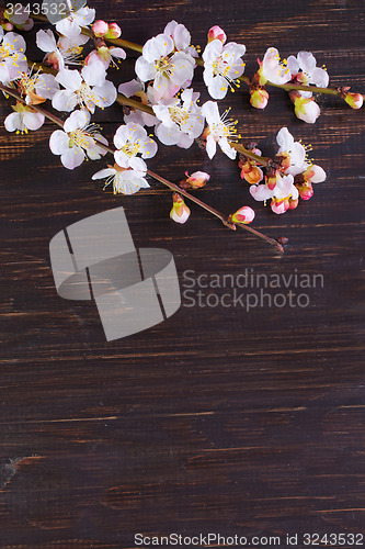 Image of background
