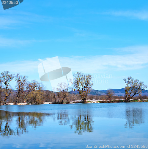 Image of nature