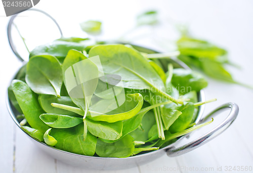 Image of spinach