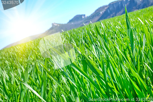 Image of nature background