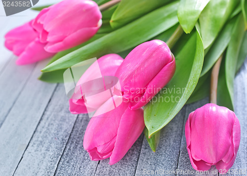 Image of tulips