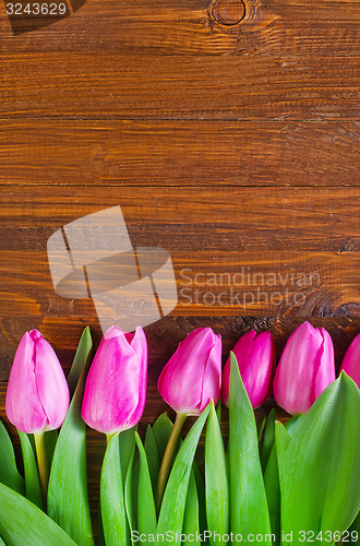 Image of tulips