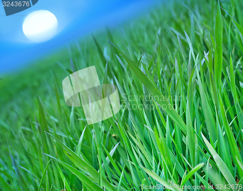 Image of nature background