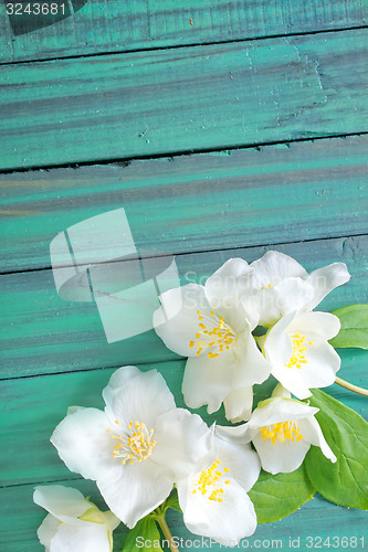 Image of flowers