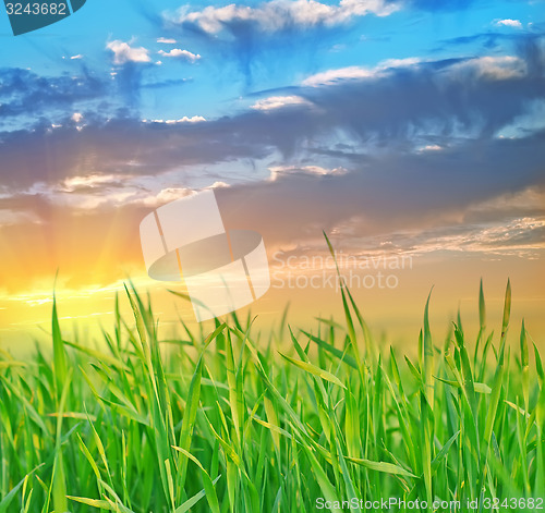 Image of nature background