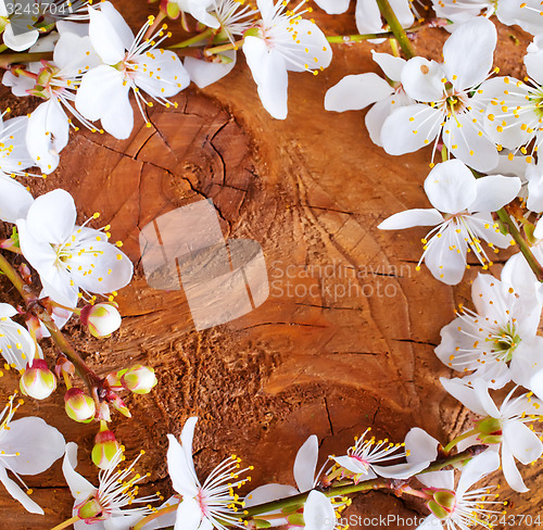 Image of background