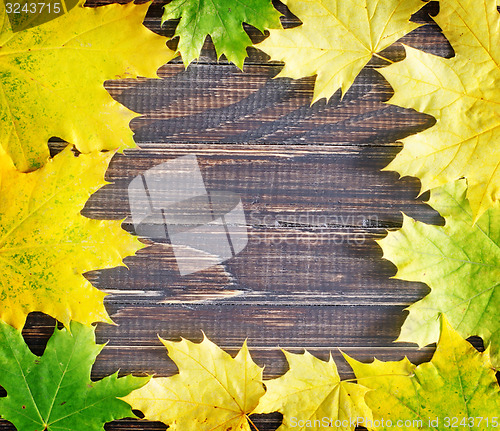 Image of yellow leaves