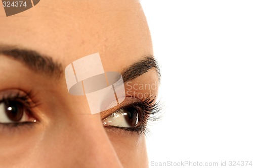 Image of Brown eye