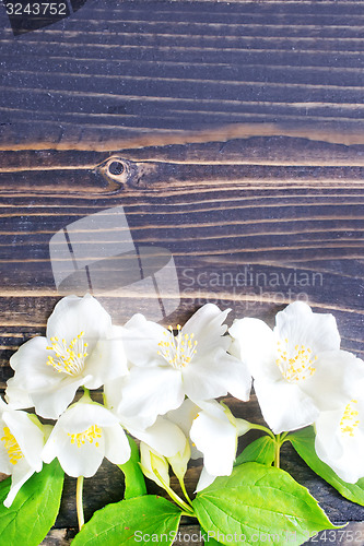 Image of flowers