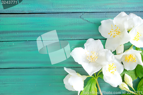 Image of flowers