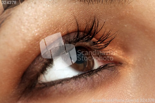 Image of Brown eye