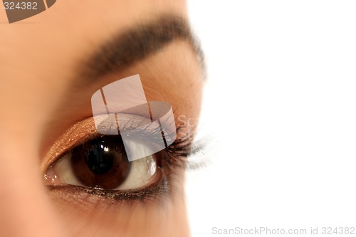 Image of Brown eye