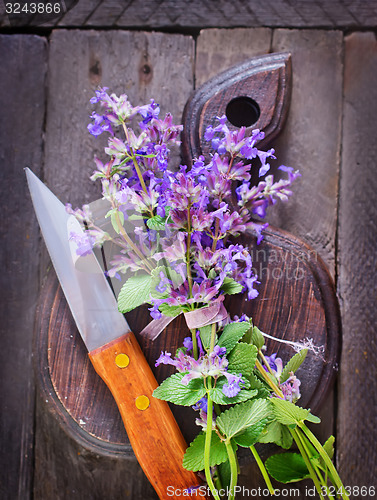 Image of aroma herb