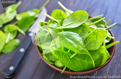 Image of fresh spinach