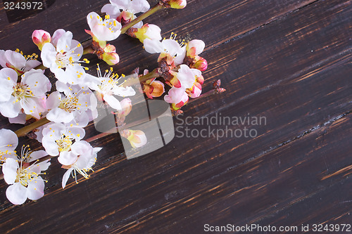 Image of background