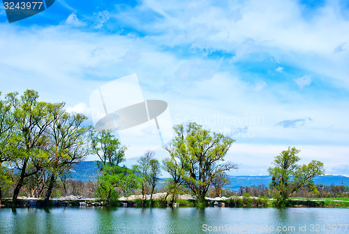 Image of nature