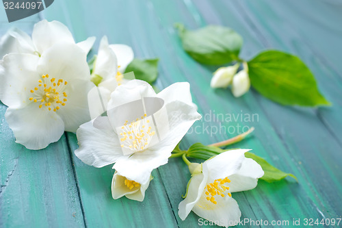 Image of flowers