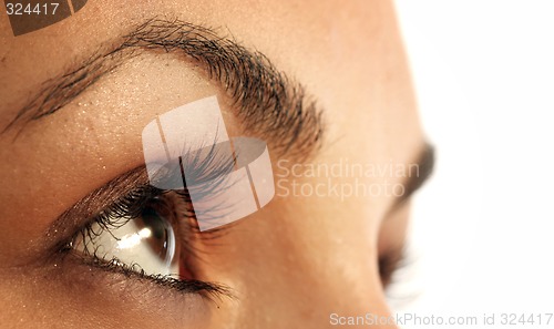 Image of Brown eye