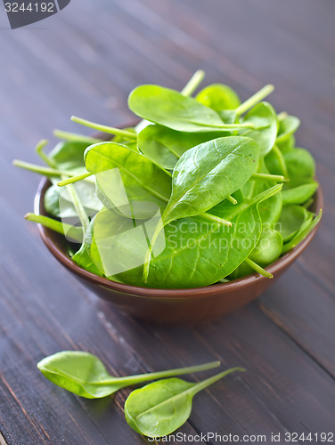 Image of fresh spinach
