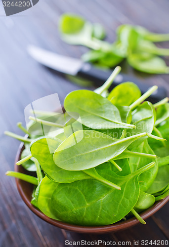 Image of fresh spinach