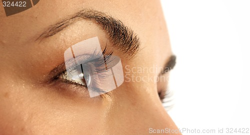 Image of Brown eye