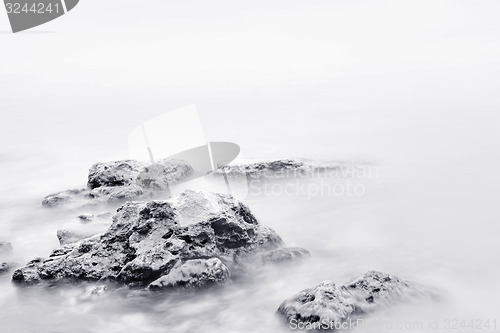 Image of nature background