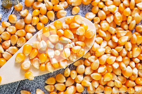 Image of dry corn