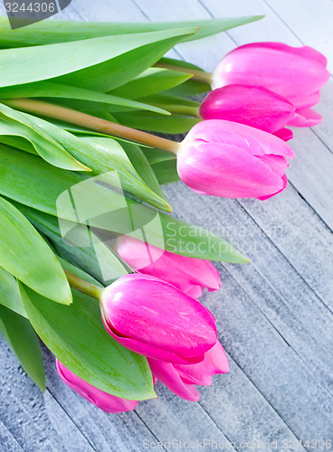 Image of tulips