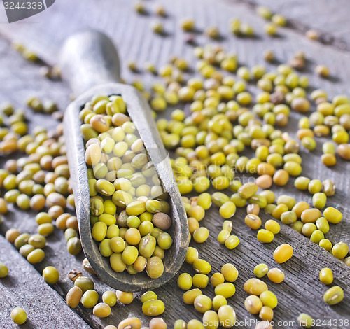 Image of mung beans