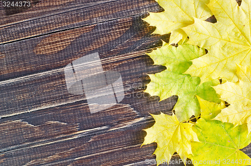 Image of yellow leaves