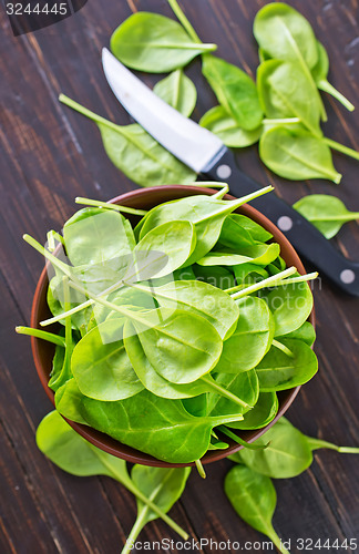 Image of fresh spinach