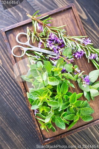 Image of aroma herbs