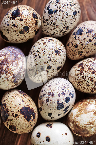 Image of quail eggs