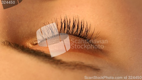 Image of Closed eye