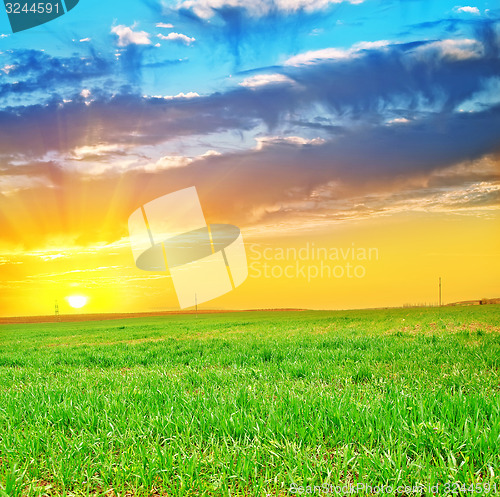 Image of nature background