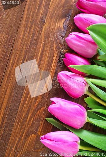 Image of tulips