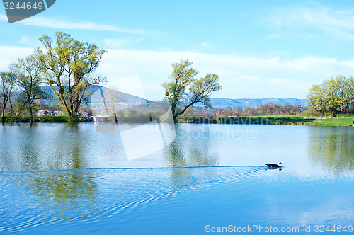 Image of Lake in Crimea