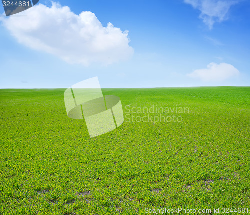 Image of nature