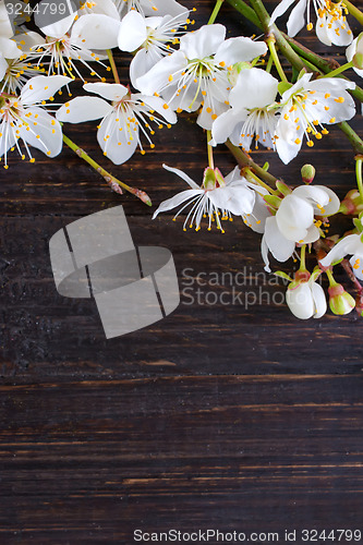 Image of flowers on wooden background