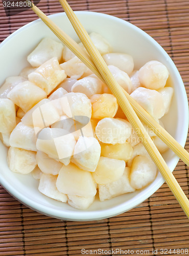 Image of scallop