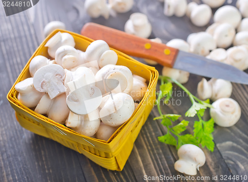 Image of mushrooms