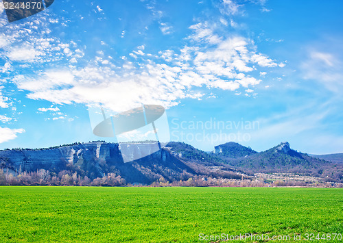 Image of grass and sky