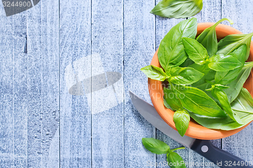 Image of fresh basil