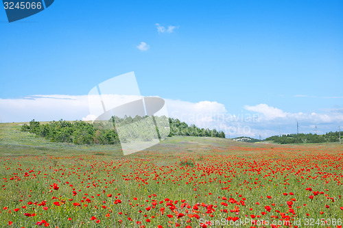 Image of nature background